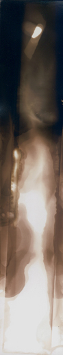 Chemogramm