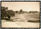 Arusha