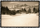 Flims