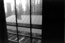 Blick aus S-Bahn